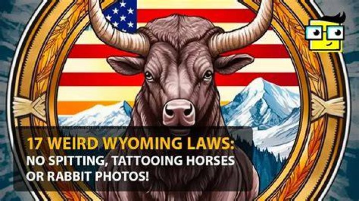 What weird laws are in Wyoming?