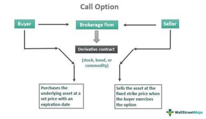 When can options contracts be exercised?