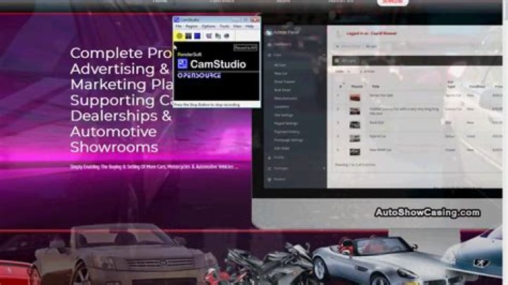 When did AutoWeb go public?