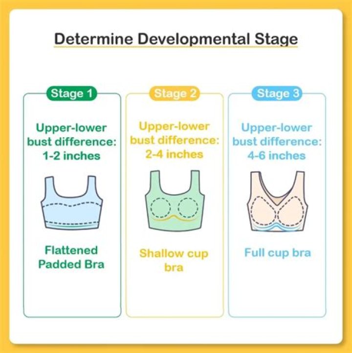 When did ladies start wearing bras?
