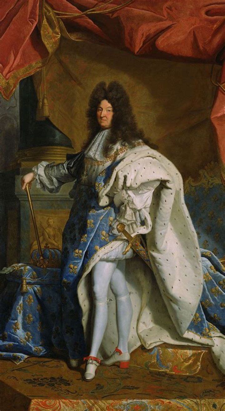 When did Louis XIV take control of the government?