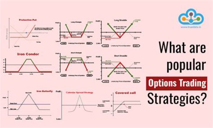When did option trading become popular?