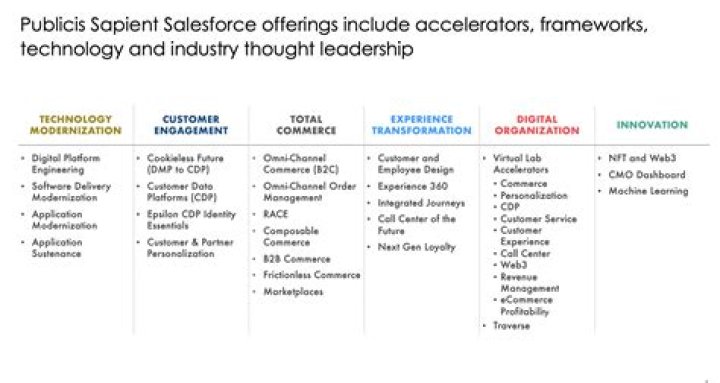 When did Sapient go public?