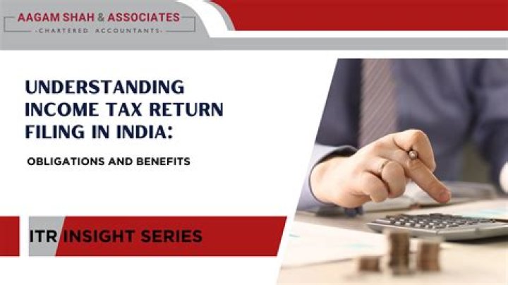 When did the US institute an income tax?