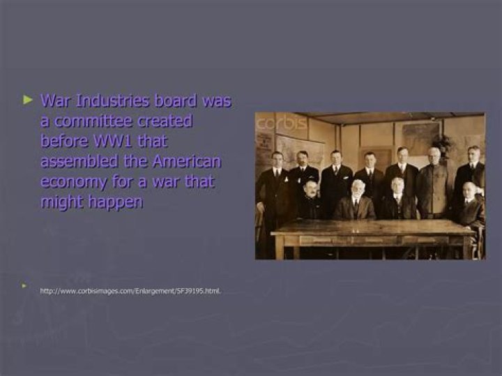 When did Wilson establish the War Industries Board?
