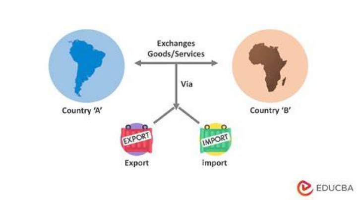 When goods are sent out of a country they are called?