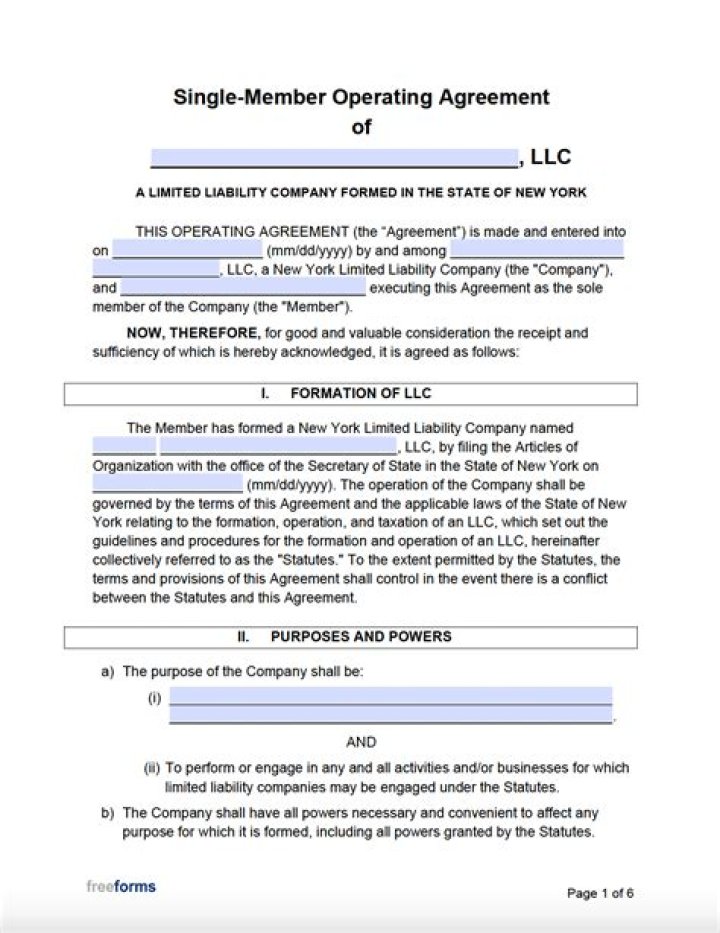 When to set up a single Owner LLC?