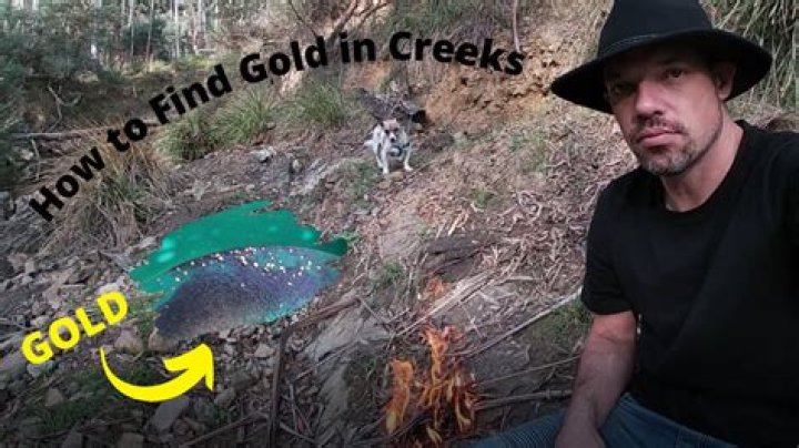 Where can I find gold in creeks NZ?