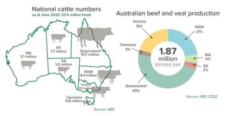 Where did the cattle industry originate?