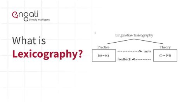 Where does a lexicographer work?