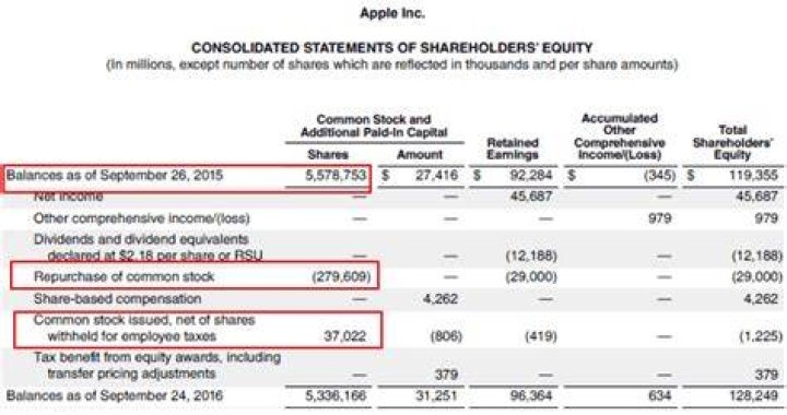 Where does common shares go on financial statements?