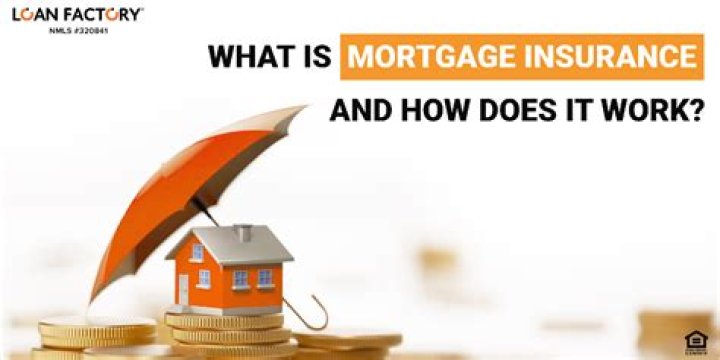 Where does the mortgage insurance money go?