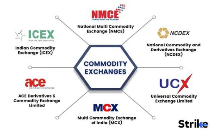 Where is the commodity exchange located?