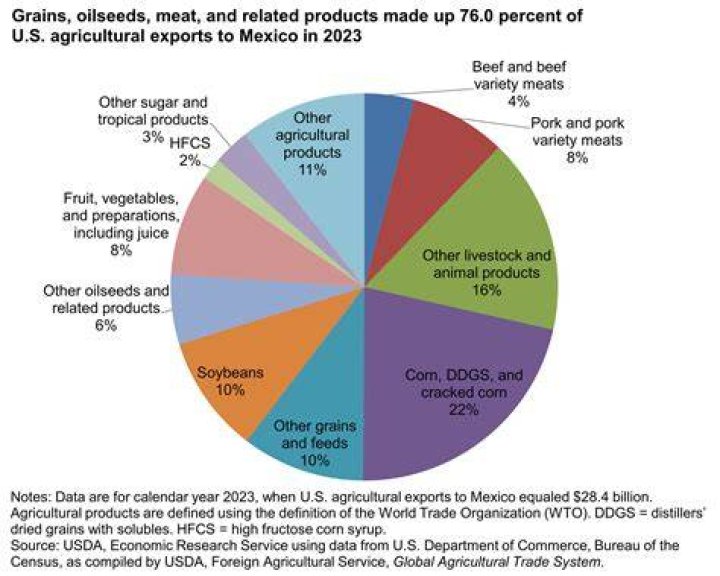 Which are the 5 most exported products to the world by Mexico?
