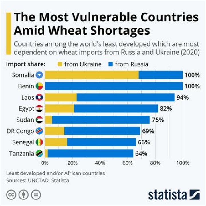 Which countries import wheat from Russia?