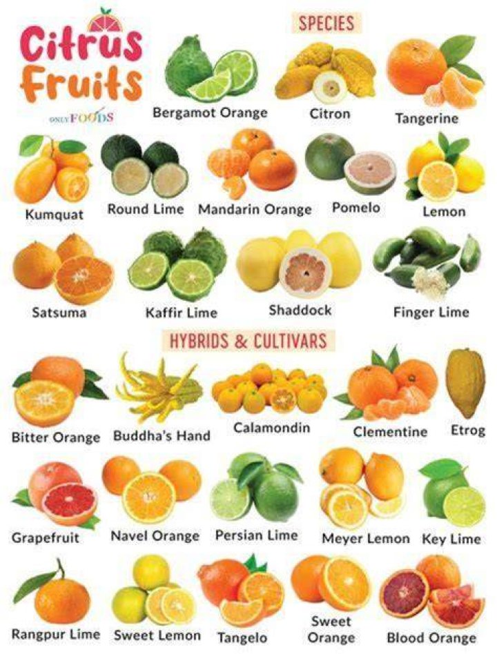 Which country exports the most citrus fruits?