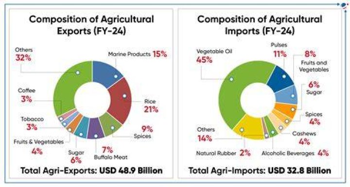 Which country exports the most turkey?