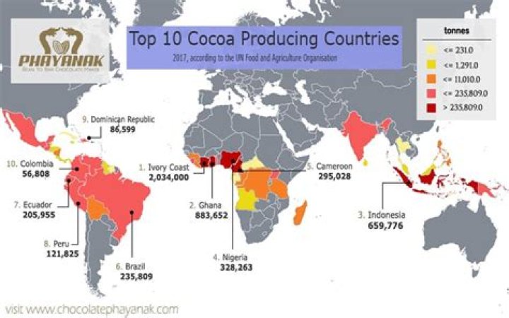 Which country has the largest cocoa?