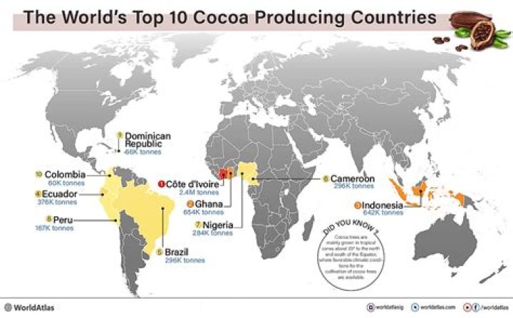 Which country is the largest producer of phosphate in the world?