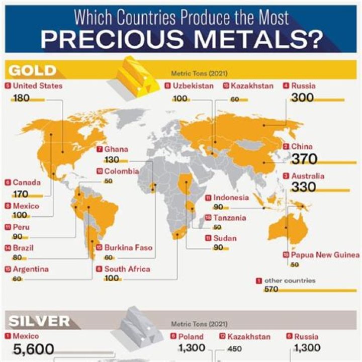 Which country is the largest producer of platinum in the world?