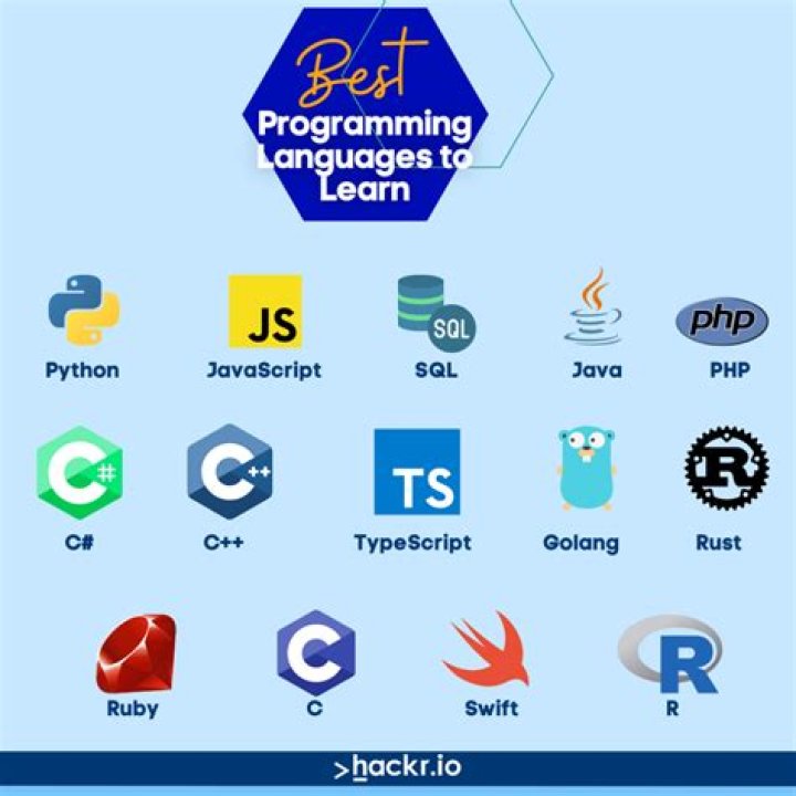 Which is better programming or animation?