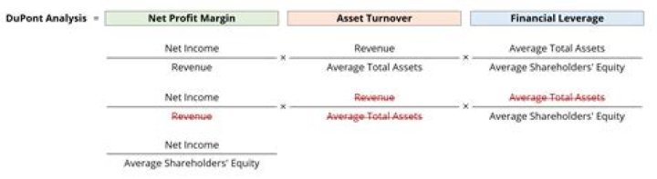 Which is better return on assets or return on equity?