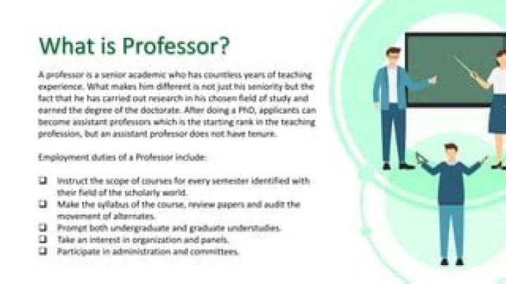 Which is higher lecturer or professor?