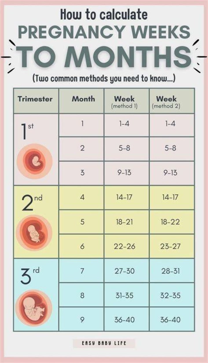 Which month we can know pregnancy?
