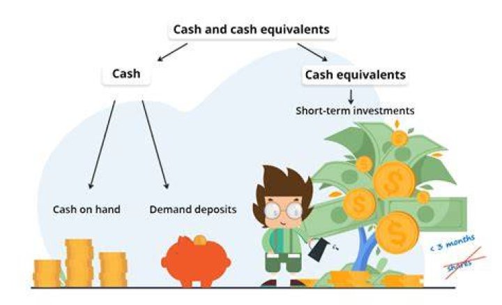Which of the following is not included in cash and cash equivalents?