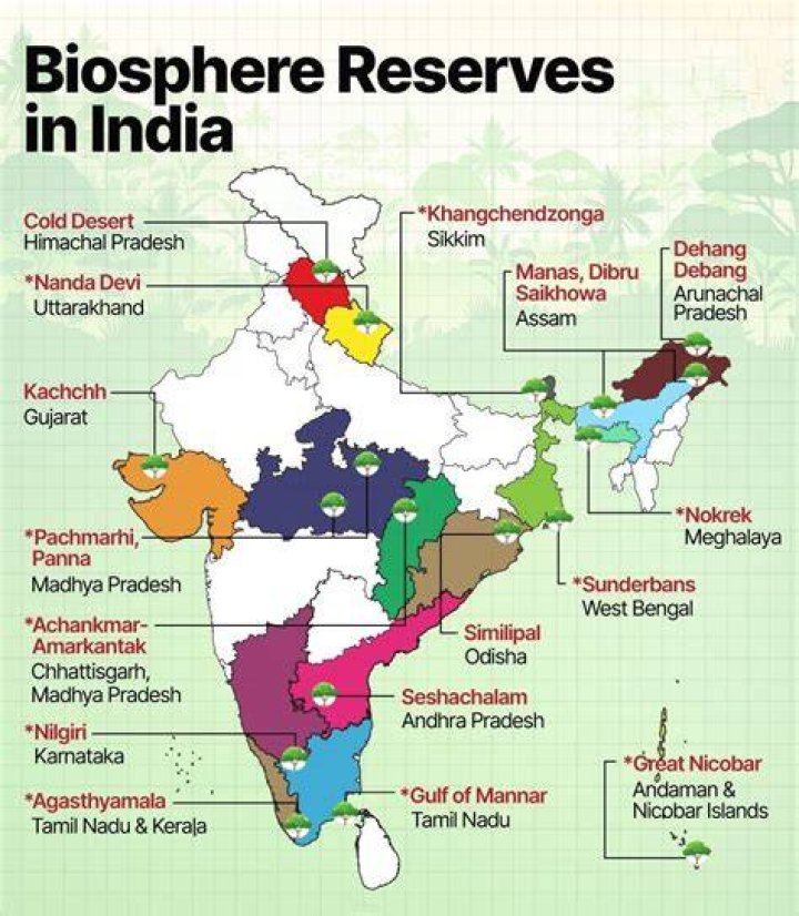 Which reserve is not a free reserve?