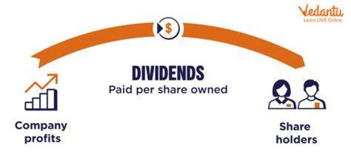 Which share holders get dividend?