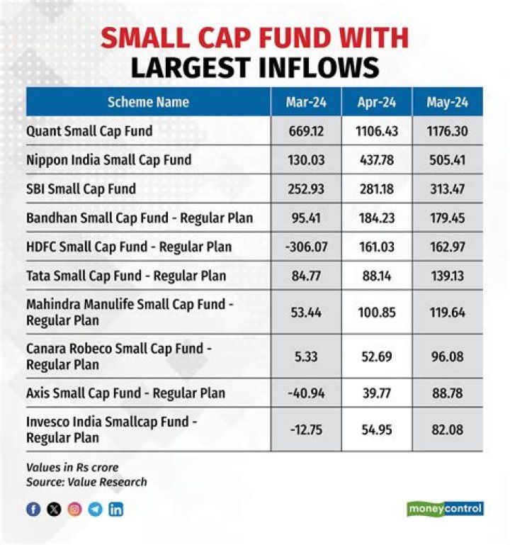 Which small-cap Fund is best in 2021?