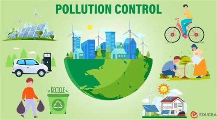 Which tax will help to control pollution?