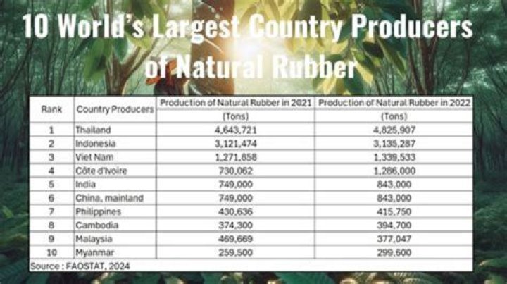 Which top 10 countries are the largest producers of natural rubber?