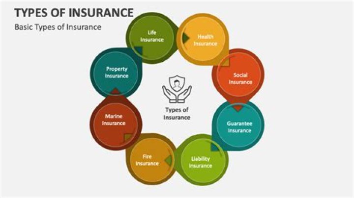 Which type of insurance is sometimes called temporary insurance Brainly?