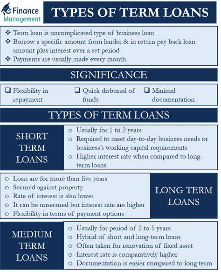Which type of loan is a short term loan?