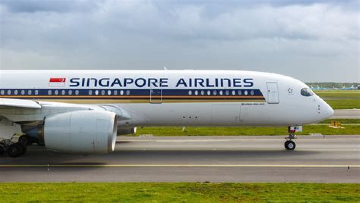 Who are the major shareholders of Singapore Airlines?