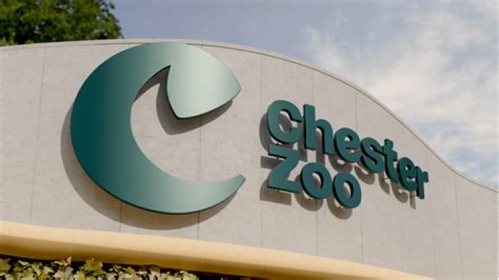 Who are the shareholders of Chester Zoo?