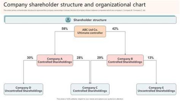 Who can be a shareholder in an S corporation and who Cannot?