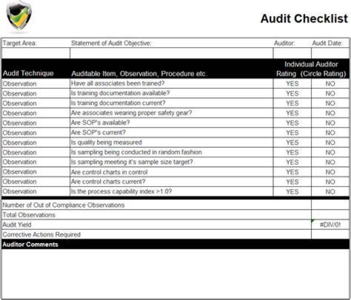 Who can represent you in an audit?