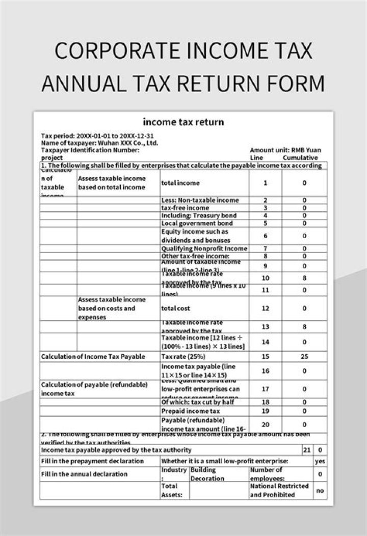 Who can sign the income tax return of a company?