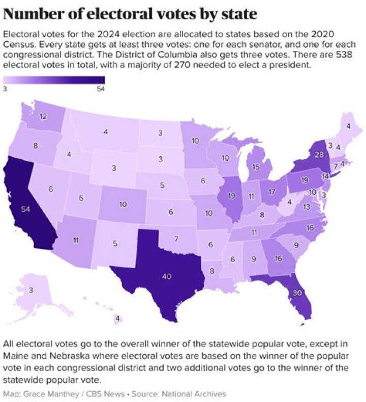 Who did electors cast their votes for?