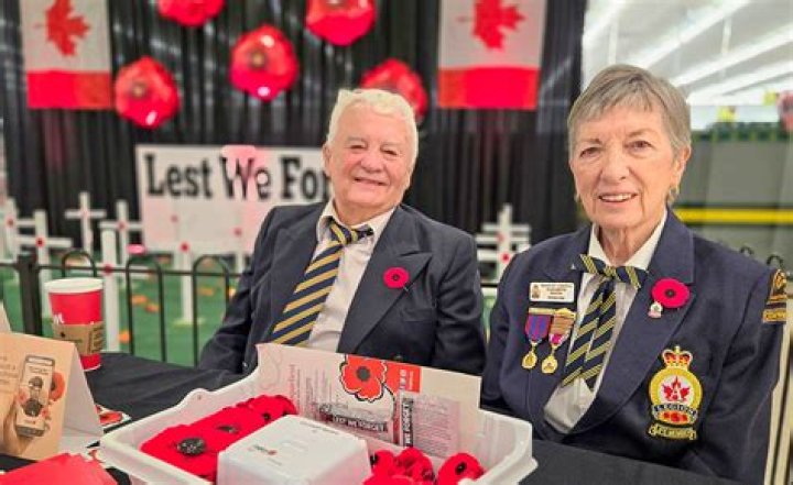 Who gets money from poppy sales?