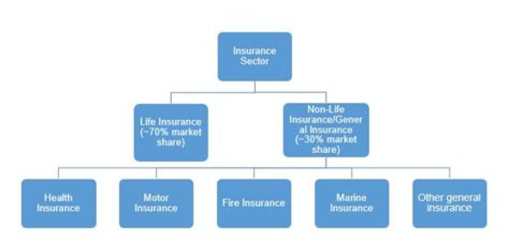 Who governs the insurance industry?