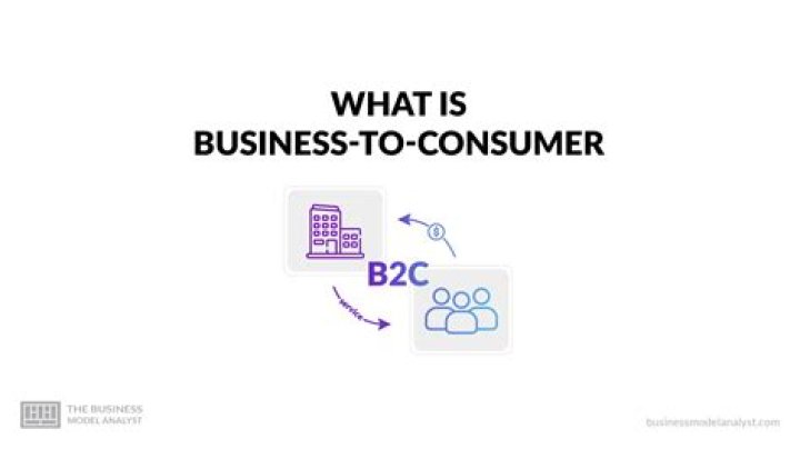 Who is a consumer in business studies?