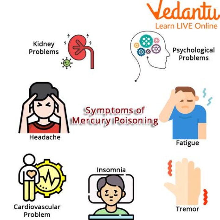 Who is most sensitive to mercury poisoning?
