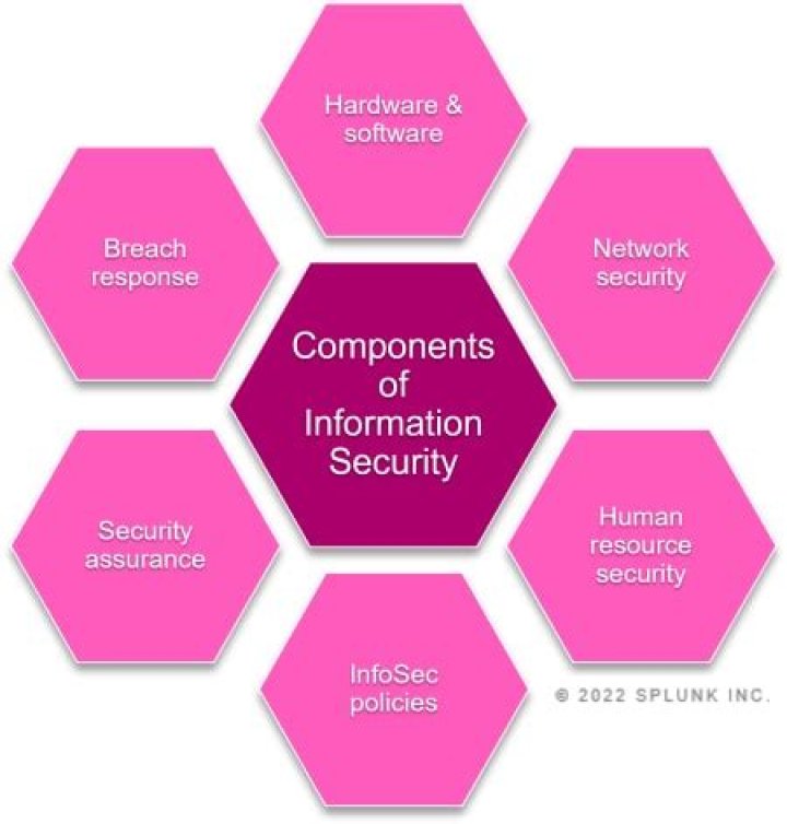 Who is responsible for daily operations for a security company?