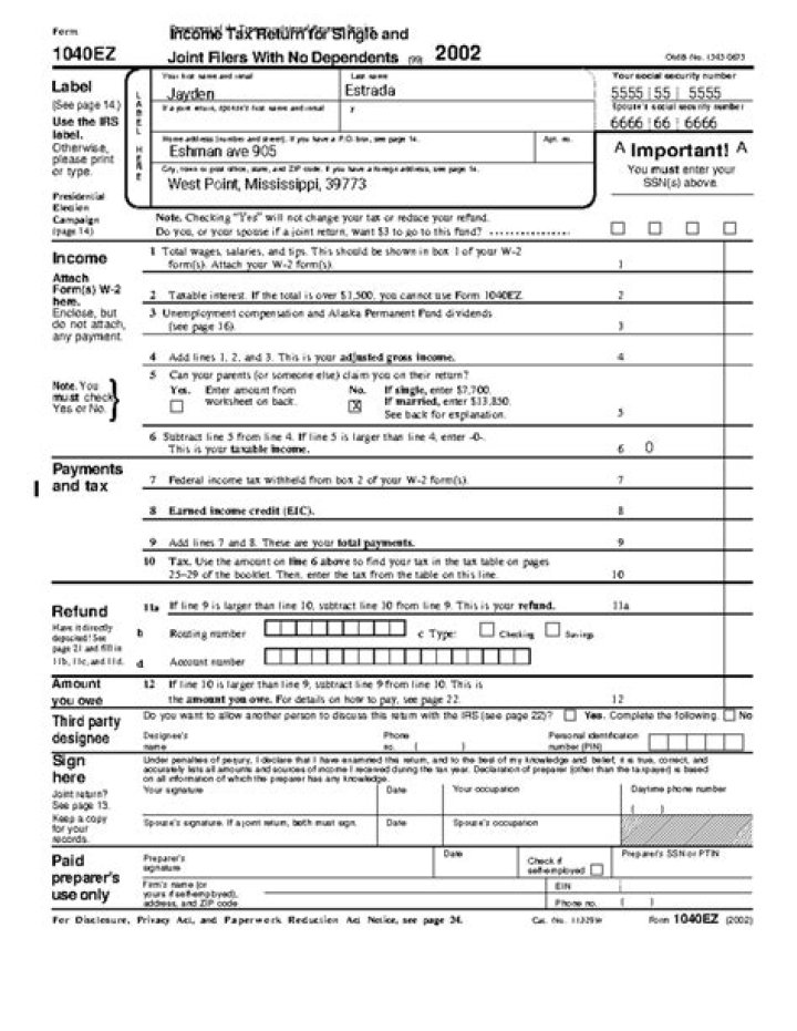 Who is the 1040EZ form for?