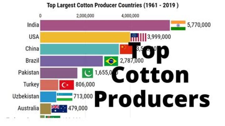 Who is the first largest producer of cotton?
