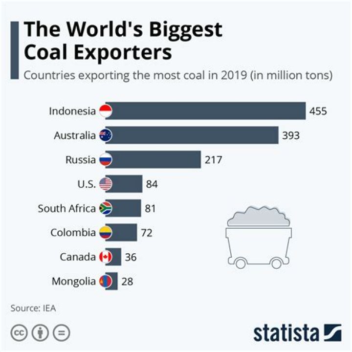 Who is the largest coal importer?